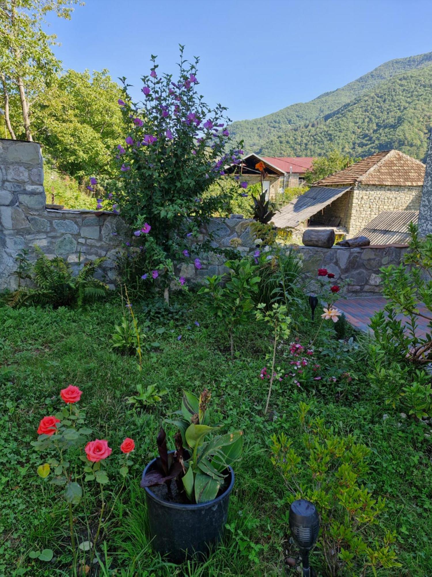 Ananuri Veranda- Hotel Guest House Zewnętrze zdjęcie